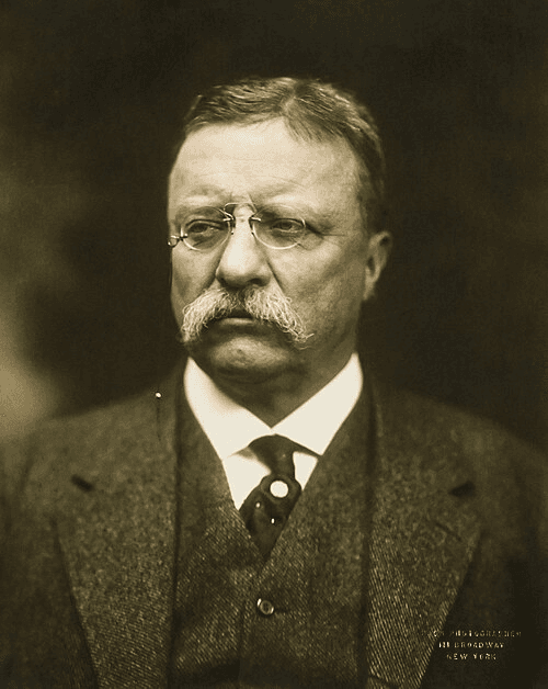 Theodore Roosevelt portrait